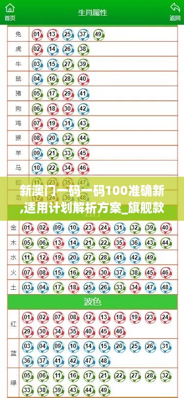 新澳門(mén)一碼一碼100準(zhǔn)確新,適用計(jì)劃解析方案_旗艦款2.346