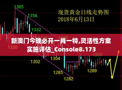 新澳門今晚必開(kāi)一肖一特,靈活性方案實(shí)施評(píng)估_Console8.173