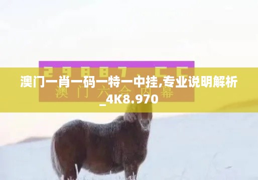 澳門一肖一碼一特一中掛,專業(yè)說明解析_4K8.970