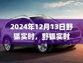 野狐實時，溫馨日常中的歡樂時光（2024年12月13日）