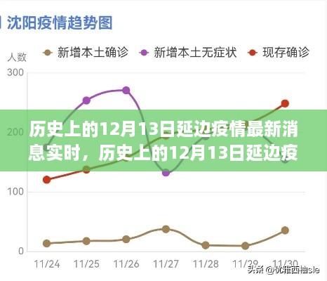 多維度視角下的深度分析，歷史上的延邊疫情最新消息實時報道與解讀（截至12月13日）