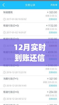 12月實(shí)時(shí)到賬，高效管理信用卡欠款，輕松還信用卡