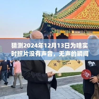 揭秘無聲瞬間背后的故事，為何2024年實時照片無聲開啟學習與成長之旅？