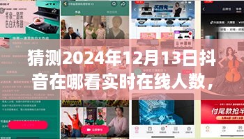 未來視野之旅，揭秘2024年抖音實(shí)時在線人數(shù)盛況——家庭日，在線情緣的見證