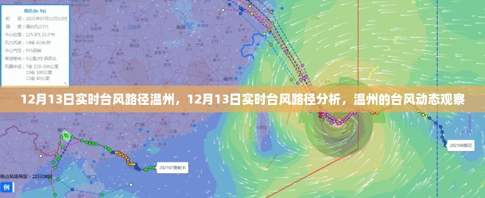 12月13日溫州臺風路徑實時分析，最新動態(tài)與觀察報告