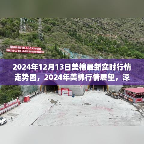 深度解析，2024年美棉行情展望與實(shí)時(shí)走勢(shì)圖背后的爭(zhēng)議