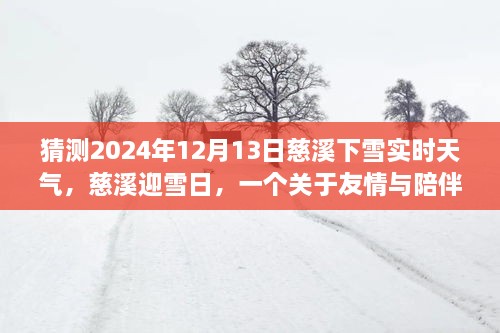 慈溪雪日溫情，友情與陪伴的溫馨故事，預(yù)測2024年12月13日實時天氣