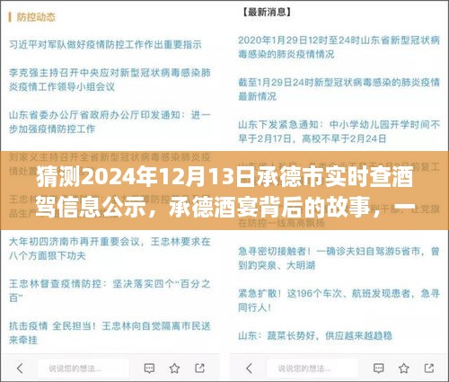 承德酒宴背后的故事，酒駕信息公示探秘之旅（猜測2024年12月13日承德市實時查酒駕信息公示）