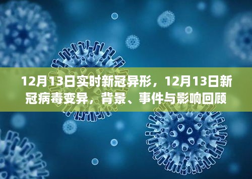 回顧，新冠病毒變異背景、事件與影響——以12月13日新冠病毒變異為例