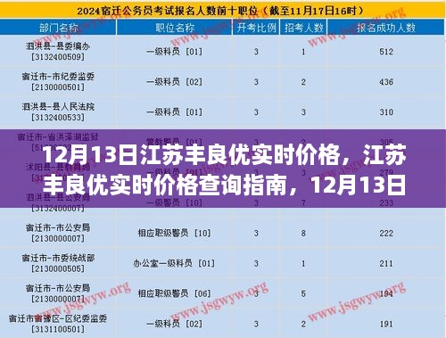 江蘇豐良優(yōu)實(shí)時(shí)價(jià)格指南，12月13日操作詳解，適用于初學(xué)者與進(jìn)階用戶