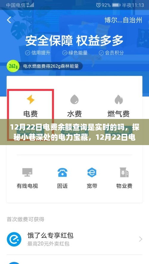 探秘小巷深處的電力寶藏，揭秘12月22日電費(fèi)余額查詢實時性揭秘