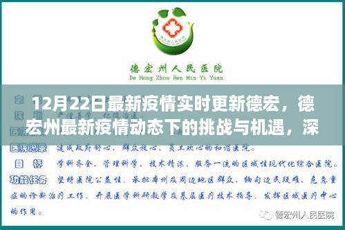 德宏州最新疫情動態(tài)下的挑戰(zhàn)與機遇深度解析，實時更新與觀點闡述