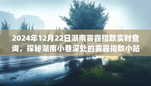 探秘湖南小巷深處，霧霾指數(shù)小站實時查詢之旅（2024年12月22日）