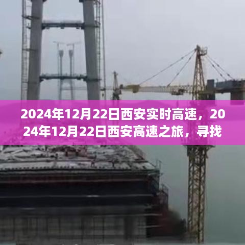 西安高速之旅，探尋自然懷抱，心靈寧靜之旅（2024年12月22日）