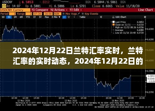 2024年12月22日蘭特匯率實時動態(tài)回顧與影響