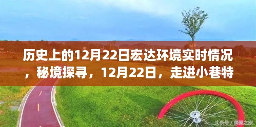 秘境探尋，宏達環(huán)境下的宏大環(huán)境之旅——歷史上的12月22日實時記錄