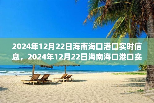 2024年12月22日海南?？诟劭趯?shí)時(shí)信息全解析，小紅書(shū)帶你掌握最新動(dòng)態(tài)