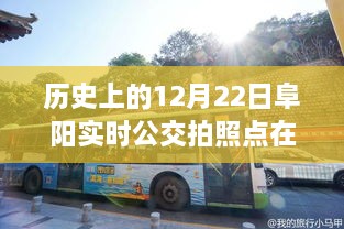 歷史上的12月22日阜陽公交之旅，探尋實時公交拍照點，尋找心靈的寧靜與自然的饋贈