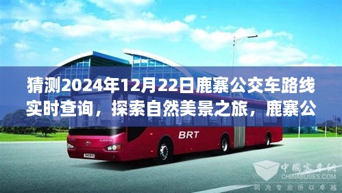 鹿寨公交路線新探秘，啟程2024年12月22日，探尋自然美景之旅實(shí)時查詢