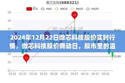 微芯科技股價(jià)實(shí)時(shí)行情解析，股市中的溫情故事在舞動(dòng)日展現(xiàn)（2024年12月22日）