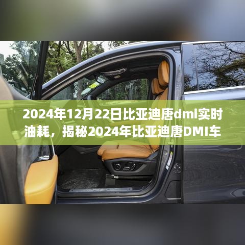 揭秘深度解析，2024年比亞迪唐DMI車型實(shí)時(shí)油耗解析