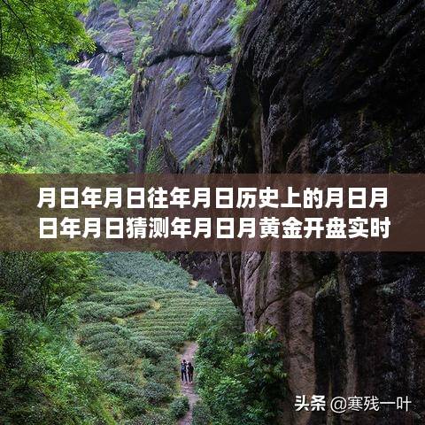 黃金行情揭秘，歷史、預(yù)測(cè)與實(shí)時(shí)動(dòng)態(tài)的交織