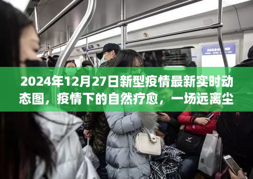 疫情下的自然療愈之旅，探尋內(nèi)心平靜與新型疫情的實時動態(tài)圖