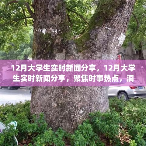 聚焦時事熱點，大學生實時新聞分享，洞察時代變遷的十二月觀察