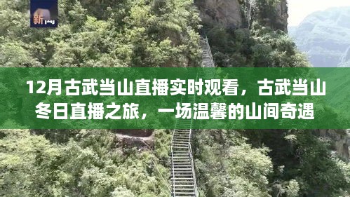 古武當(dāng)山冬日直播之旅，探尋山間奇遇的溫馨之旅