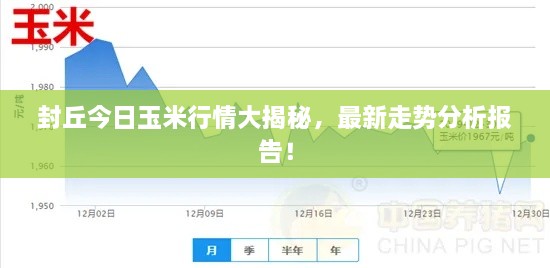 封丘今日玉米行情大揭秘，最新走勢分析報告！