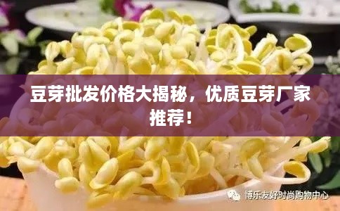 豆芽批發(fā)價格大揭秘，優(yōu)質(zhì)豆芽廠家推薦！