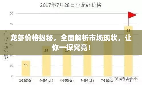 龍蝦價(jià)格揭秘，全面解析市場(chǎng)現(xiàn)狀，讓你一探究竟！
