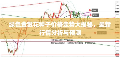 綠色金銀花種子價格走勢大揭秘，最新行情分析與預測