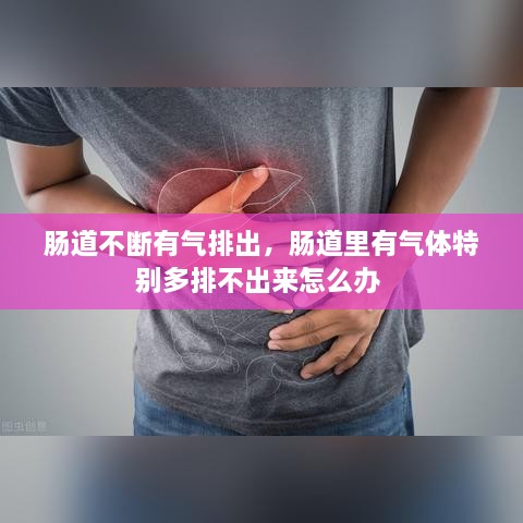 腸道不斷有氣排出，腸道里有氣體特別多排不出來怎么辦 