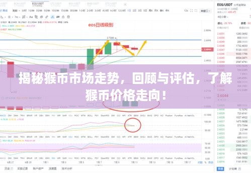 揭秘猴幣市場(chǎng)走勢(shì)，回顧與評(píng)估，了解猴幣價(jià)格走向！
