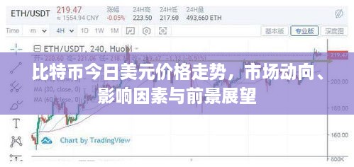 比特幣今日美元價(jià)格走勢(shì)，市場(chǎng)動(dòng)向、影響因素與前景展望