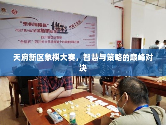 天府新區(qū)象棋大賽，智慧與策略的巔峰對(duì)決