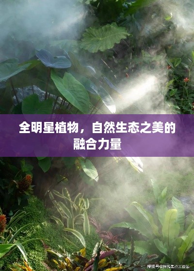 全明星植物，自然生態(tài)之美的融合力量