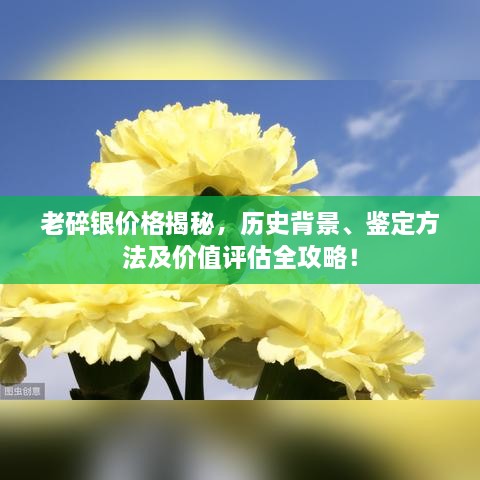 老碎銀價格揭秘，歷史背景、鑒定方法及價值評估全攻略！