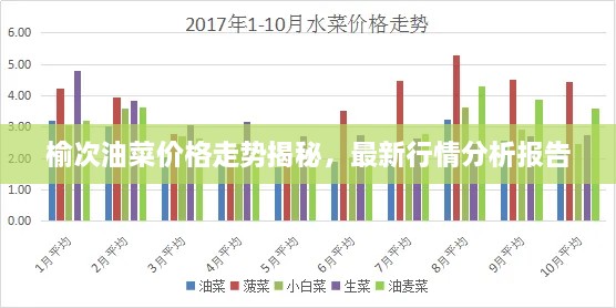 榆次油菜價格走勢揭秘，最新行情分析報告