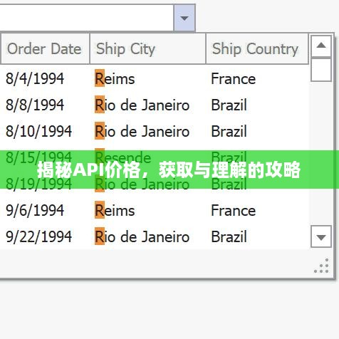 揭秘API價格，獲取與理解的攻略