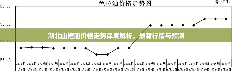 湖北山楂油價格走勢深度解析，最新行情與預(yù)測