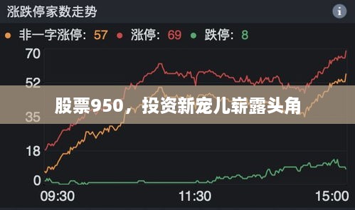 股票950，投資新寵兒嶄露頭角