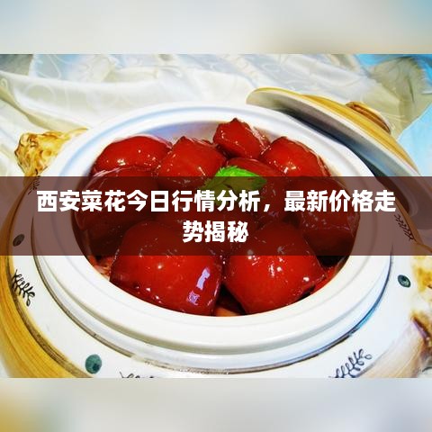 西安菜花今日行情分析，最新價(jià)格走勢(shì)揭秘