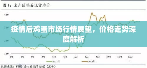 疫情后雞蛋市場行情展望，價(jià)格走勢深度解析