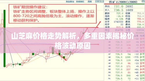 山芝麻價格走勢解析，多重因素揭秘價格波動原因