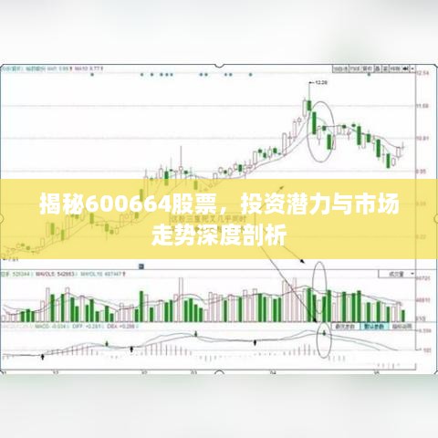 揭秘600664股票，投資潛力與市場(chǎng)走勢(shì)深度剖析