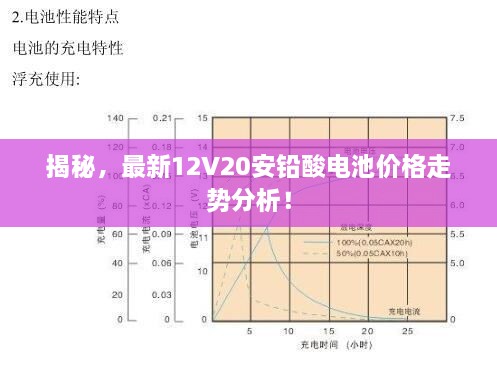 揭秘，最新12V20安鉛酸電池價格走勢分析！