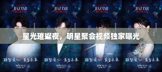 星光璀璨夜，明星聚會(huì)視頻獨(dú)家曝光