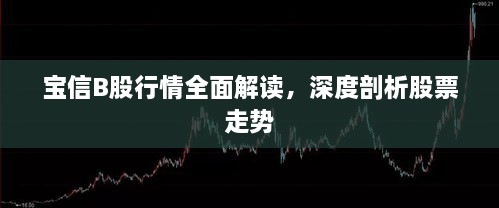 寶信B股行情全面解讀，深度剖析股票走勢